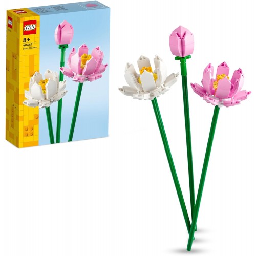 40647 BOTANICALS LOTUS FLOWERS