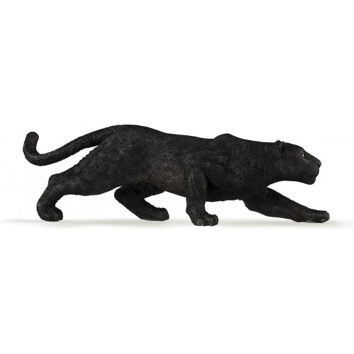 50026 BLACK LEOPARD
