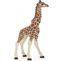 50100 Giraffe Calf
