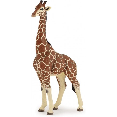 50149 GIRAFFE MALE
