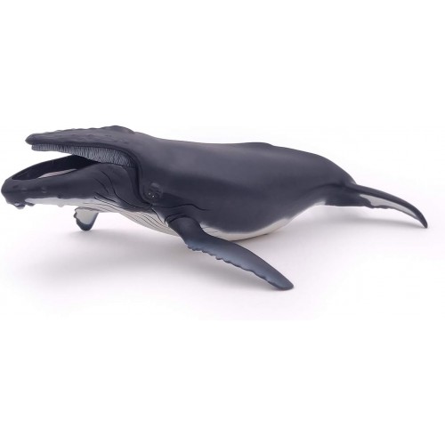56001 HUMPBACK WHALE