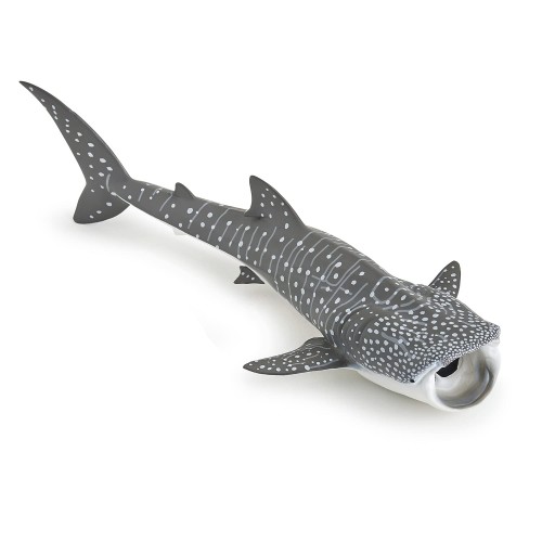 56039 WHALE SHARK