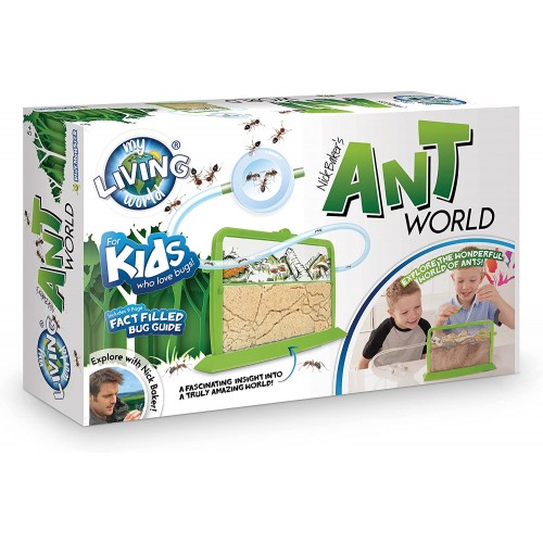 ANT WORLD